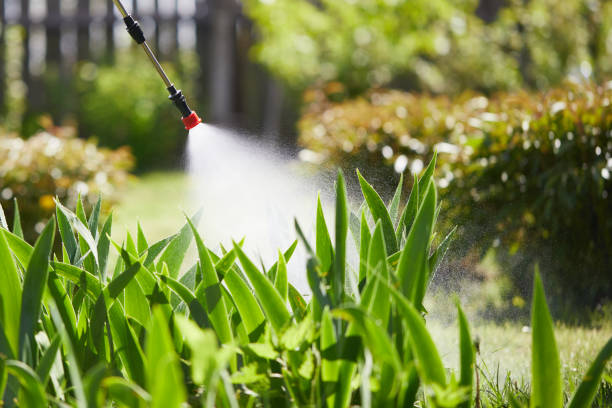 24/7 Emergency Ant Control experts in Loomis, CA